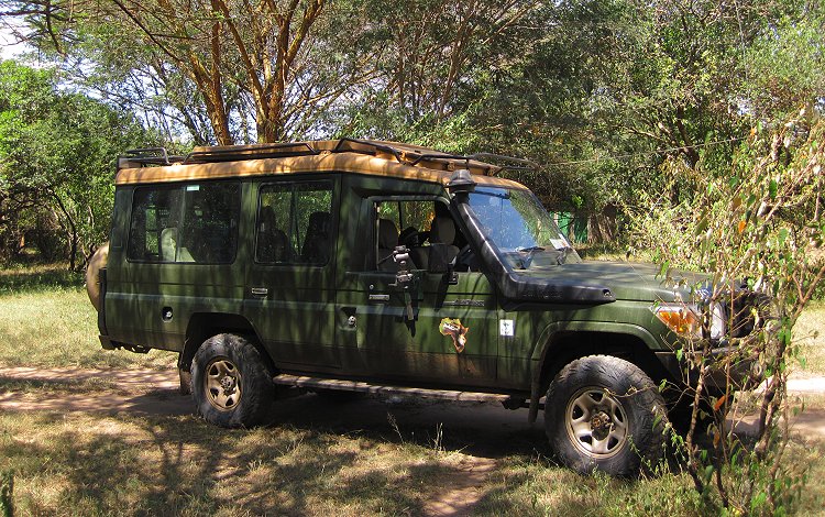 Aruba Mara Camp and Campside - Talek