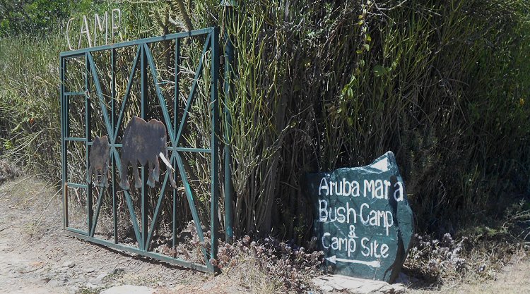 Aruba Mara Camp and Campside - Talek