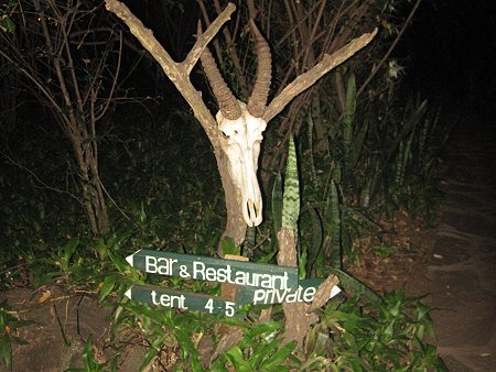 Aruba Mara Camp and Campside - Talek