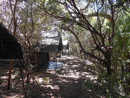 Aruba Mara Camp and Campside - Talek
