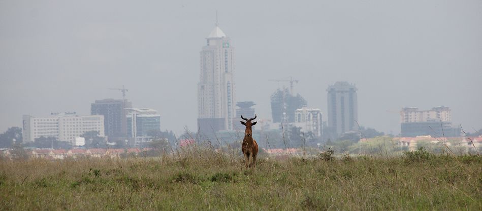 Nairobi National Park
