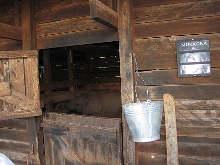 Sheldrick Wildlife Trust, Nairobi