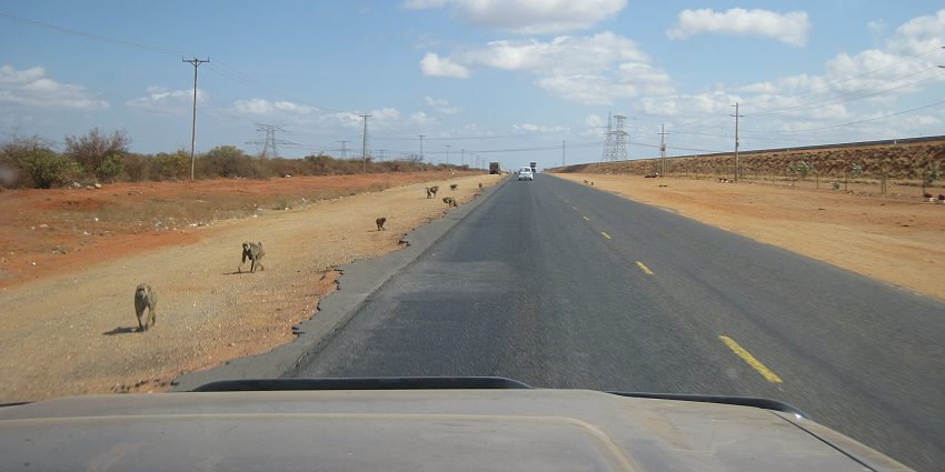 zwischen Manyani und Tsavo Gate