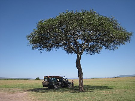 Masai Mara Game Drive