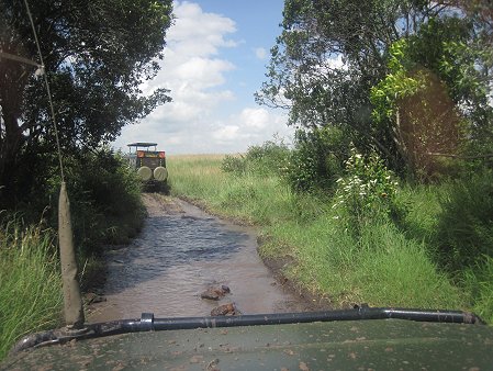 Quer durch die Masai Mara