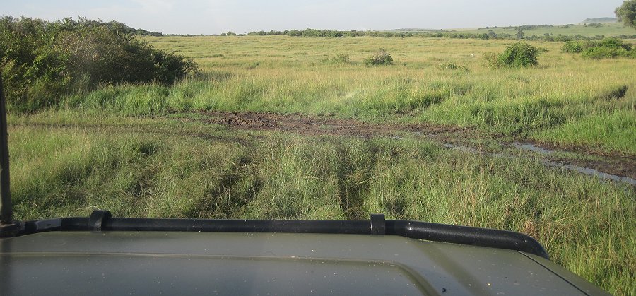 matschige, rutschige Masai Mara