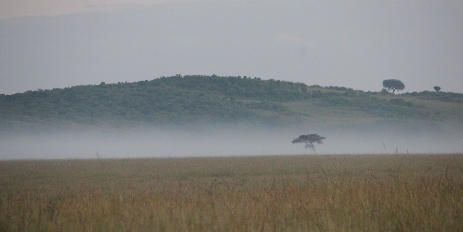 Masai Mara