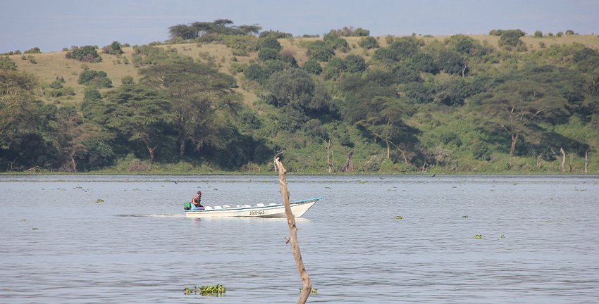 Naivasha Country Club und Kiboko Camp, Lake Naivasha