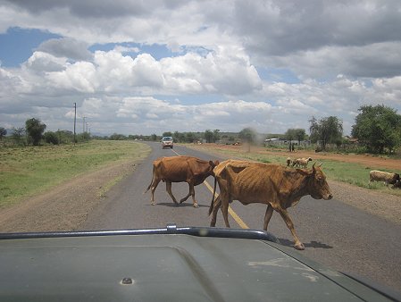 auf dem Weg zum Lake Baringo