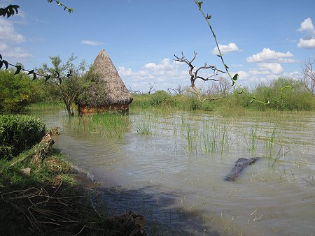 Roberts Camp, Lake Baringo