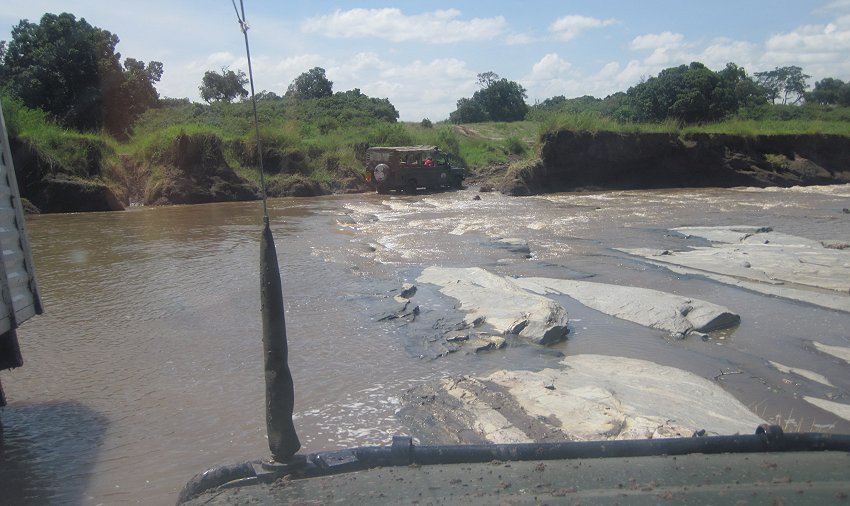 Smelling Crossing, Masai Mara