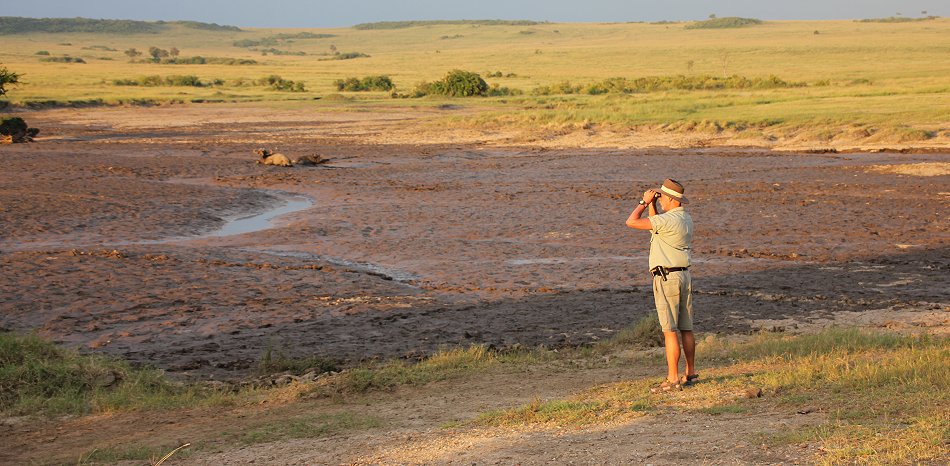 Sundowner Masai Mara