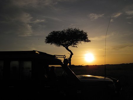 Sonneaufgang in der Masai Mara