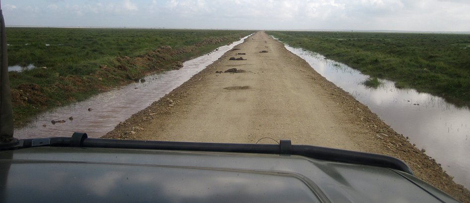 Elefanten im Amboseli Park