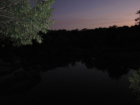 Mara Bush Camp, Ol Are Orok River - Masai Mara