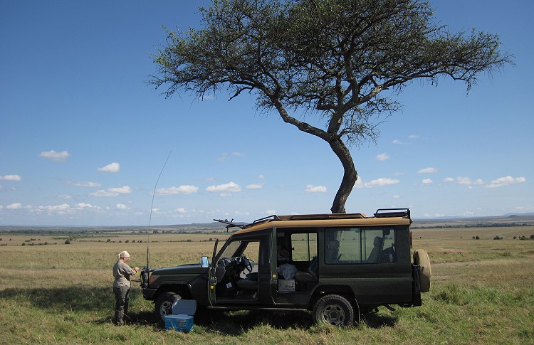 masai mara bush breakfast