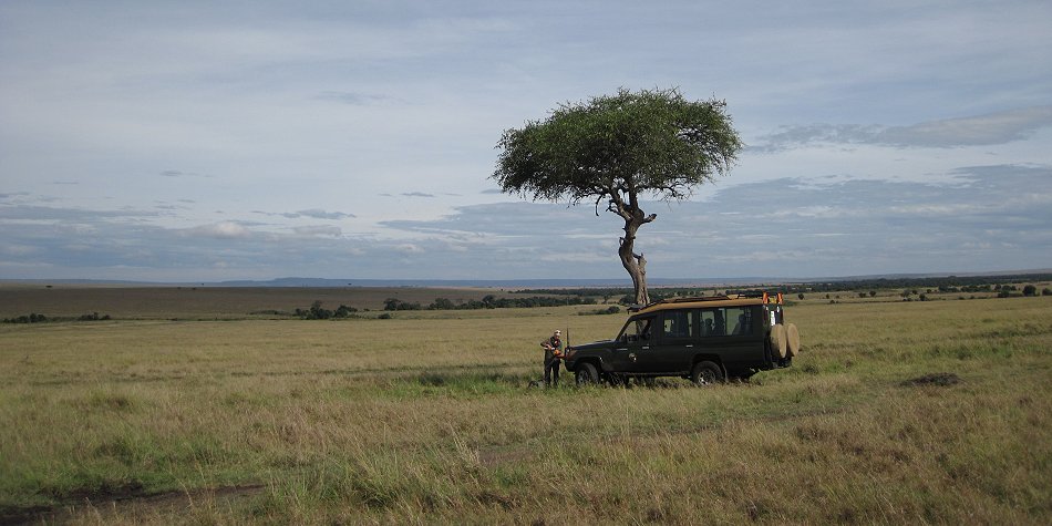 Buschfrühstück in der Masai Mara