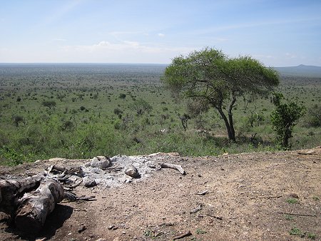 Cheetah Campside, Lumo Conservancy