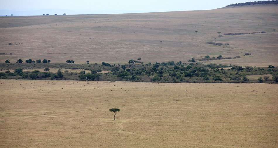 Lookout Hill, Masai Mara