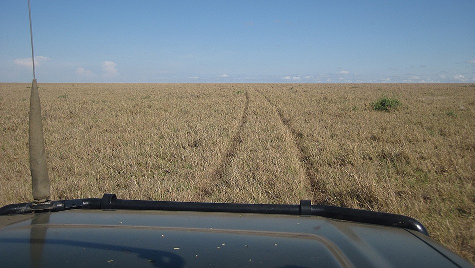 leergefegte Masai Mara, Oktober 2020