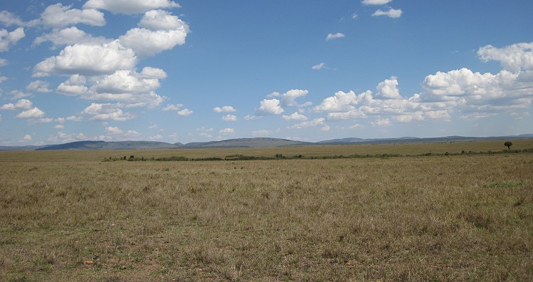 masai mara bush breakfast