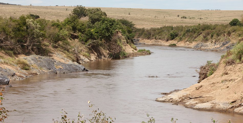 Mara River