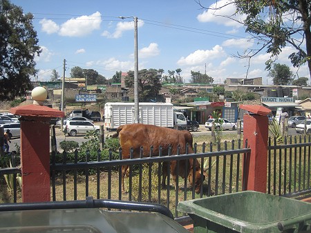 Narok shopping Mall