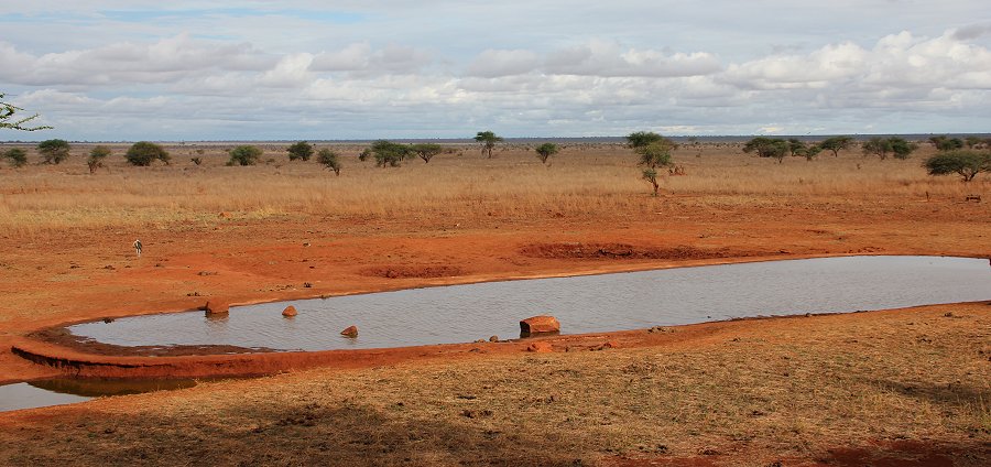 Ngutuni Reservat - am Rande des Tsavo Ost National Parks