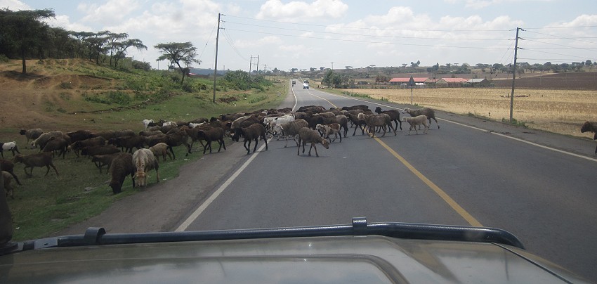 on the road to Masai Mara, Rift Valley