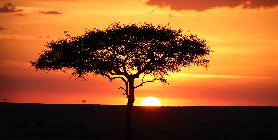 Sundowner in der Masai Mara