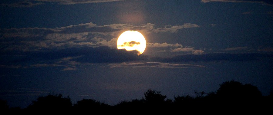 Vollmond in der Masai Mara