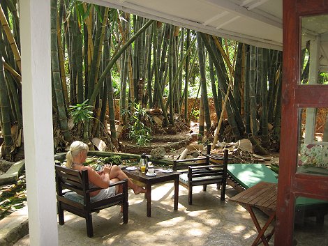 Boko Boko - Porini, Farm and Guesthouse
