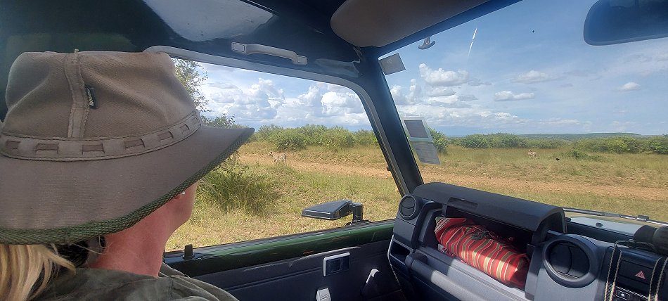 Tano Bora, fünf Geparden Männchen auf der Jagd