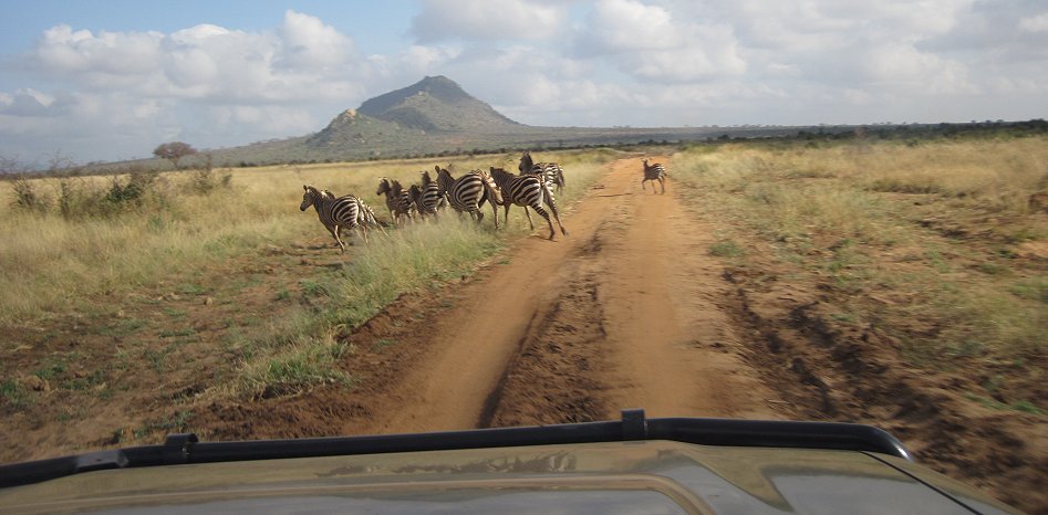 Tsavo Ost Pirschfahrt