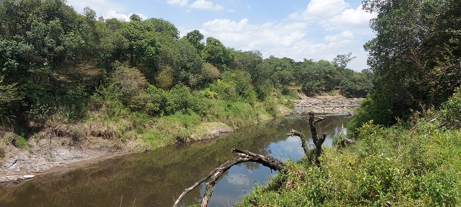 Mara Bush Camp - Ol Are Orok River, Masai Mara