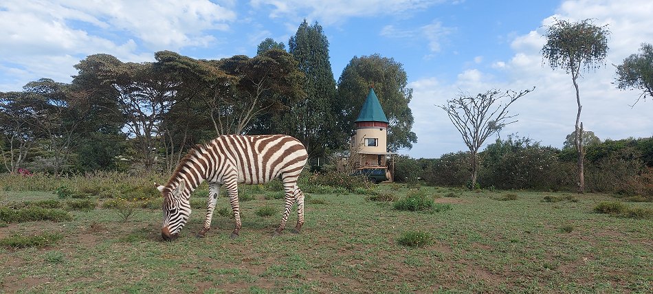 Sungura Ranch - The Folly - Lake Naivasha