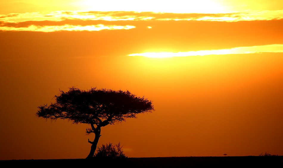 Sundowner in der Masai Mara
