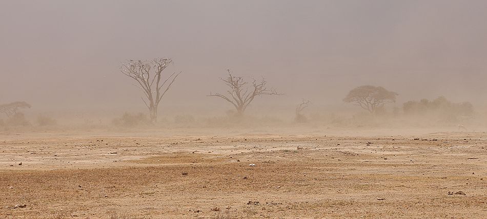 Sandsturm im Aboseli National Park
