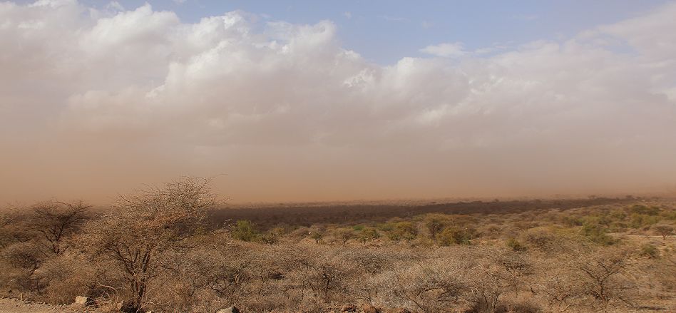 Sandsturm im Aboseli National Park