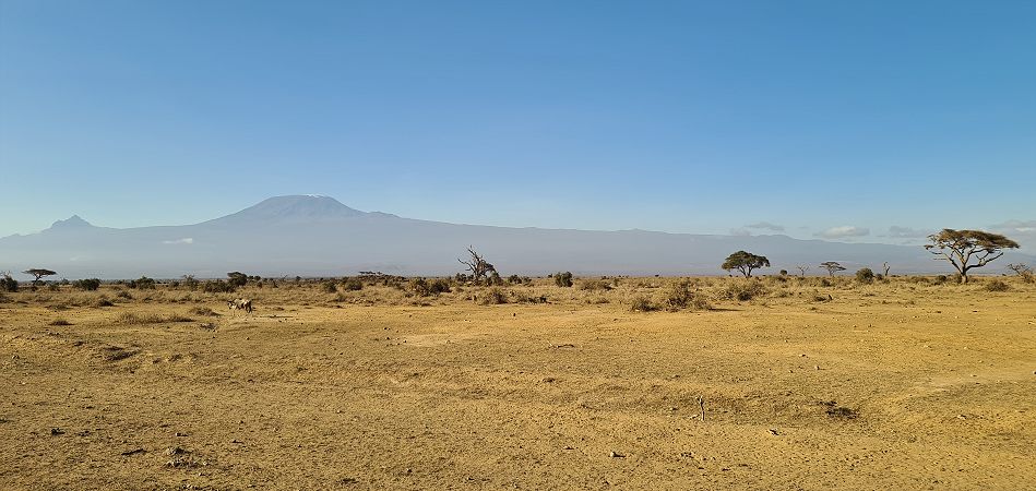 Amboseli National Park