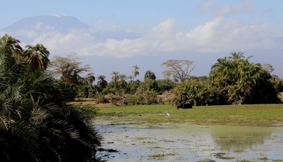 Amboseli National Park
