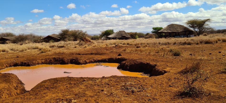 Amboseli Bush Camp - Kimana