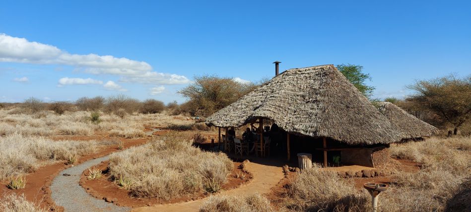 Amboseli Bush Camp - Kimana
