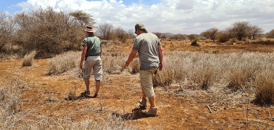 Amboseli Bush Camp - Kimana
