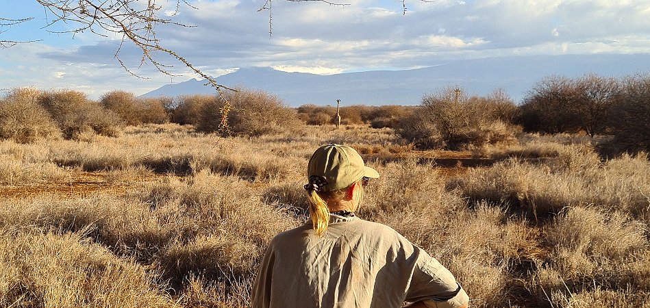 Amboseli Bush Camp - Kimana