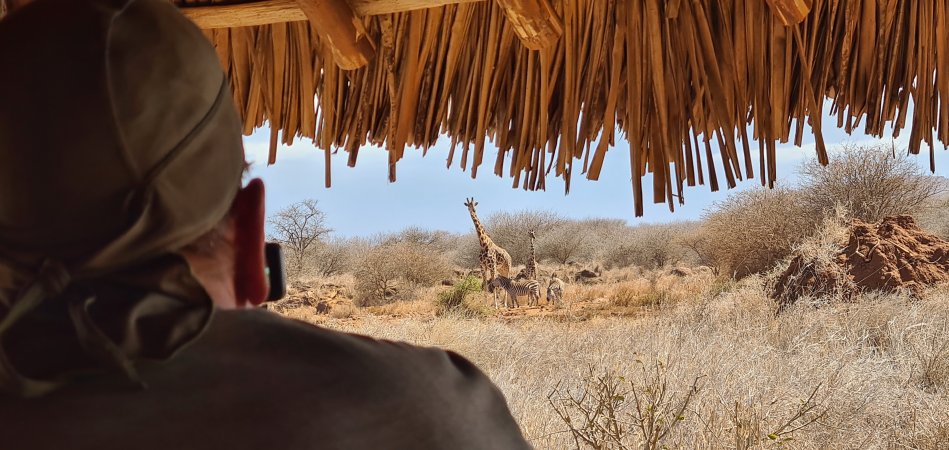 Amboseli Bush Camp - Kimana