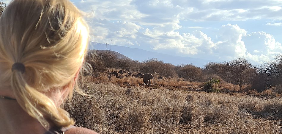 Amboseli Bush Camp - Kimana