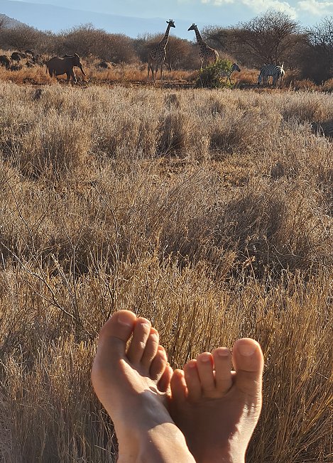 Amboseli Bush Camp - Kimana