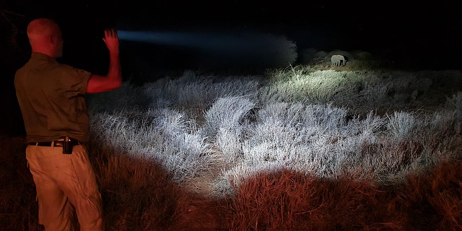 Amboseli Bush Camp - Kimana