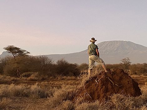 Amboseli Bush Camp - Kimana